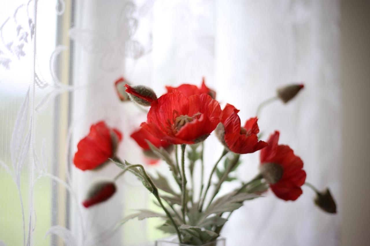 The Glen Bed And Breakfast Drumnadrochit Ngoại thất bức ảnh